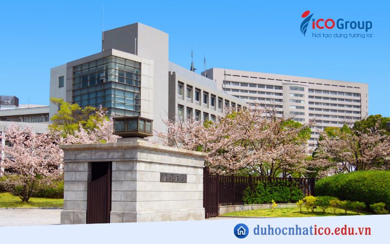 du hoc dai hoc osaka