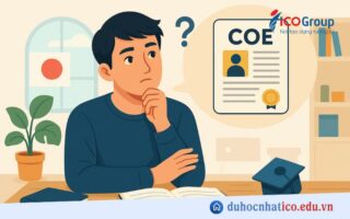 coe la gi