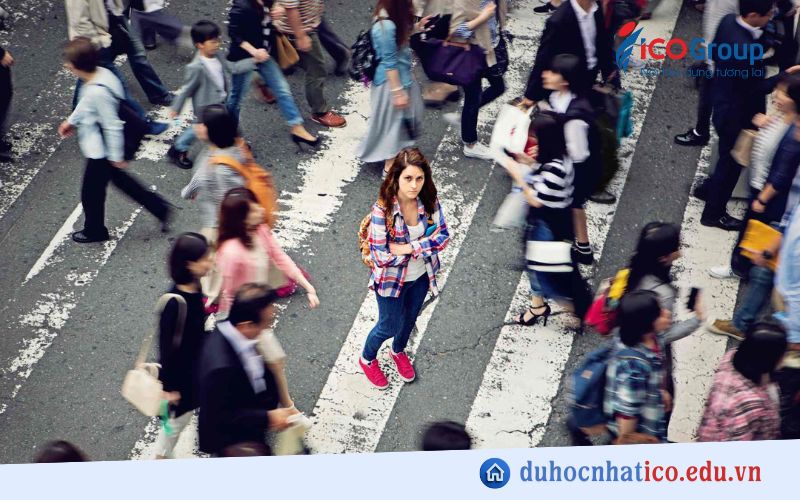 dau hieu cua soc van hoa khi du hoc nhat ban