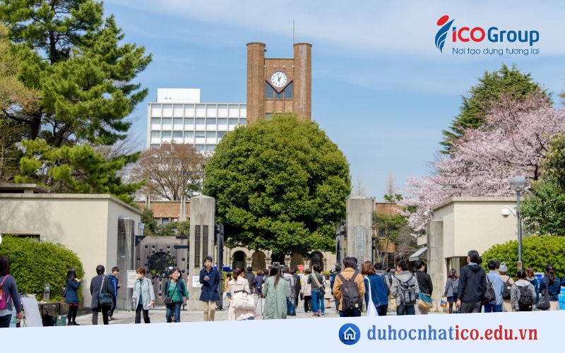 du hoc tai tokyo kha ton kem